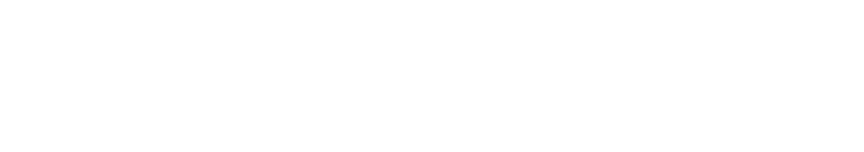 Crono Wise